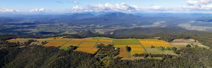 Brown Brothers Vineyard - VIC (PBH3 00 34130)